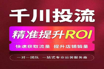 SEM公司成功案例分享：搜索引擎优化的力量